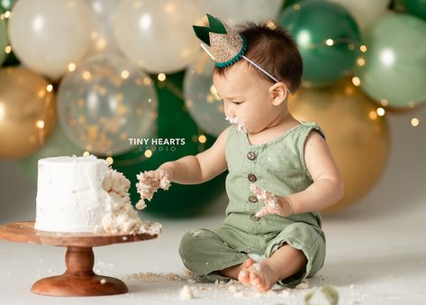 Cake Smash Photography | St. Cloud Photo Studio 1 Year Cake Smash Boy, Baby Boy Smash Cake Ideas, Boy Smash Cake Pictures, First Birthday Studio Photos, First Birthday Photo Shoot Ideas Boy, First Birthday Boy Photoshoot, Cakesmash Boy, Green Cake Smash, Boy Smash Cake