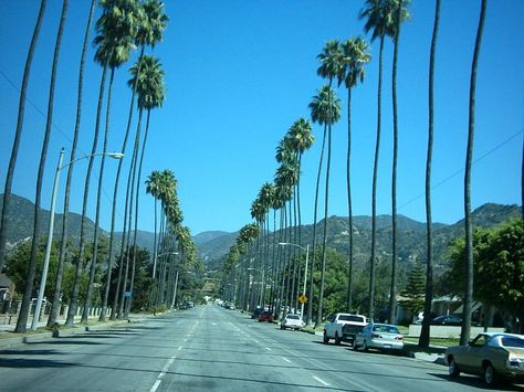 Azusa, California | Azusa, CA : Beautiful view of Azusa photo, picture, image (California ... Azusa California, Kurt Kunkle, Canyon City, San Gabriel Valley, Mommy Dearest, California City, California Girl, West Covina, Vintage California