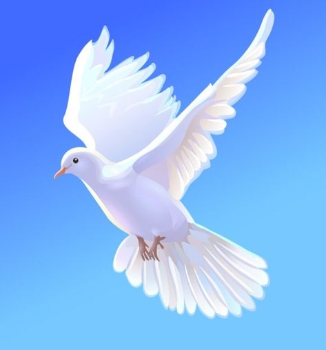 Holy Spirit Art, Vogel Gif, Dove Painting, Dove Flying, Dove Images, राधा कृष्ण वॉलपेपर, Dove Pictures, Red Background Images, Blurred Background Photography