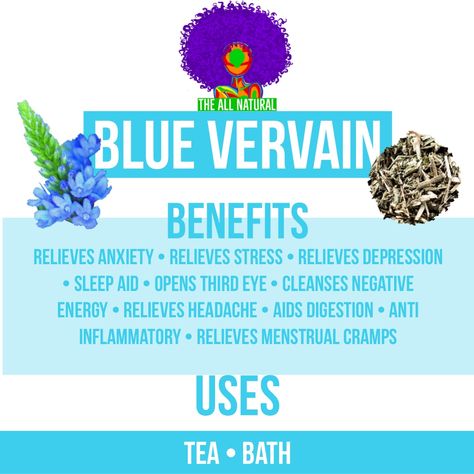 Blue Vervain Vervain Tea Benefits, Blue Vervain Tea, Blue Vervain Benefits, Palo Azul Tea Benefits, Blue Vervain, Dr Sebi Alkaline, Third Eye Opening, Dr Sebi, How To Relieve Headaches