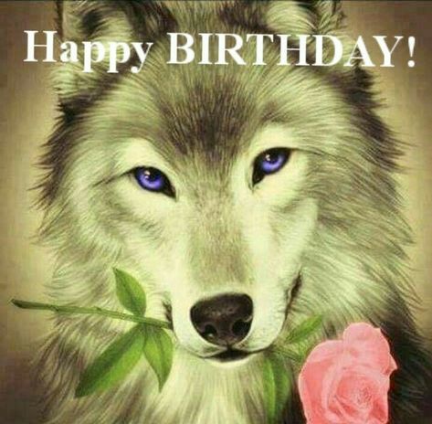 Happy Birthday Wolf, Silly Happy Birthday, Wolf Meme, Alpha Werewolf, N Word, Celtic Festival, Silly Images, A Wolf, Silly Pictures