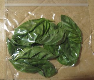 Herb Preserving, Preserving Basil, Freezing Fresh Herbs, Preserve Fresh Herbs, Fresh Basil Recipes, Store Fresh Herbs, Drying Fresh Herbs, Freezing Vegetables, Freezing Herbs