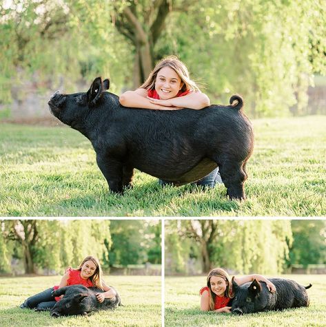 4-H Senior Portraits | Catherine Michele Photography Blog Senior Pictures On Couch, 4h Senior Pictures Animals, Senior Picture Ideas With Chickens, Livestock Pictures Senior Pics, 4h Photography Project Ideas, 4h Senior Picture Ideas, 4h Photography Ideas, Livestock Photography Senior Pics, Livestock Senior Pictures Pigs