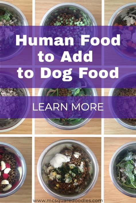 Dog Food Fillers, Fresh Foods For Dogs, Things To Add To Dry Dog Food, Raw And Kibble Diet, Dog Food Boosters, Feeding Dogs Human Food, Foods To Add To Dog Food, What To Add To Dog Food, Healthy Add Ins For Dog Food