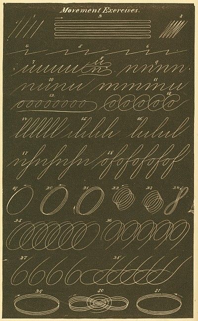 spencerian handwriting exercises Spencerian Penmanship, Caligrafia Copperplate, Handwriting Examples, Calligraphy Tutorial, Copperplate Calligraphy, Handwriting Styles, Calligraphy For Beginners, Calligraphy Practice, How To Write Calligraphy