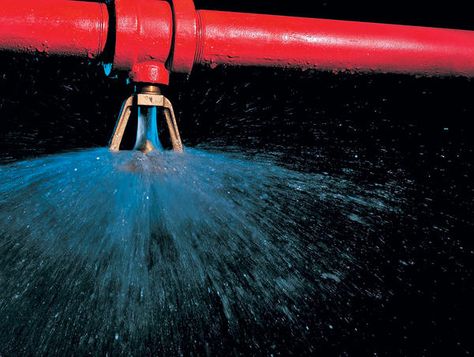 Standerd response Dry sprinklers are thermosensitive spray sprinklers suitable for use in area subject to freezing. Sprinkler System Installation, Fire Sprinkler System, Water Sprinkler, Fire Sprinkler, Drink Station, Sprinklers, Sprinkler System, South Florida, Firefighter