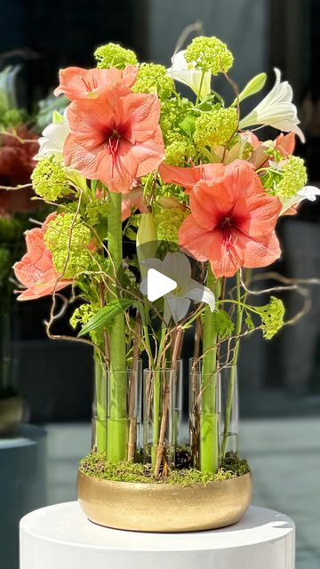 Kazi Hafijor Rahman Sagar on Instagram: "Easter lilies, Viburnum & Amaryllis 💐
#ivybahrain 
@masterflorists 
@amaryllis.info 
#florist #photography
🧑🏻‍🎨💐📸 - @florist_kazi__sagar 
🇧🇭🇧🇩
#floristkazisagar #masterflorist
#bahrain #bd #event #floralarrangment #color #art #bouquet #floral #flowers #flower #bd #europe #floraldesigener #promotionfloristry #flowers #floristsreview" Amaryllis Centerpiece, Amaryllis Bouquet, Florist Photography, Lily Centerpieces, Easter Lilies, Art Bouquet, Modern Florals, Plant Arrangements, Flower Growing