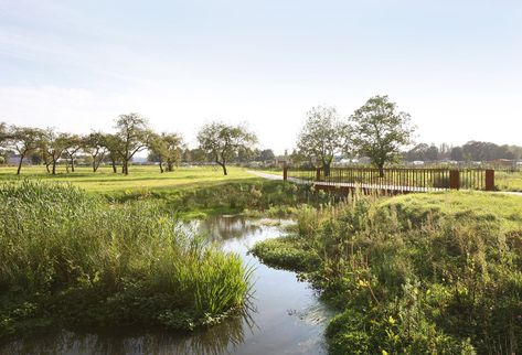 Park Groot Schijn by Maxwan architects + urbanists « Landscape Architecture Platform | Landezine Landscape Zoning, Landscape And Urbanism Architecture, Park Landscape, Landscape And Urbanism, Urban Park, Water Management, Rain Garden, Commercial Architecture, Parking Design