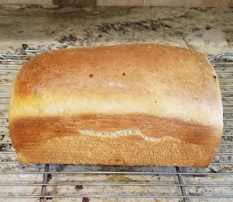 Salt Rising Bread Recipe, Salt Bread Recipe, Salt Rising Bread, Bread Crumbs Recipe, Rhyme Or Reason, Crumb Recipe, Bread Maker Recipes, Dry Bread, Bread Starter