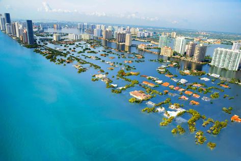 A potential scenario of future sea level rise in South Beach, Miami, Florida, USA. Critical Reading, Sea Level, Housing Market, Real Estate Companies, Buy Tickets, South Beach, Westminster, Real Estate Professionals, Real Estate Brokerage