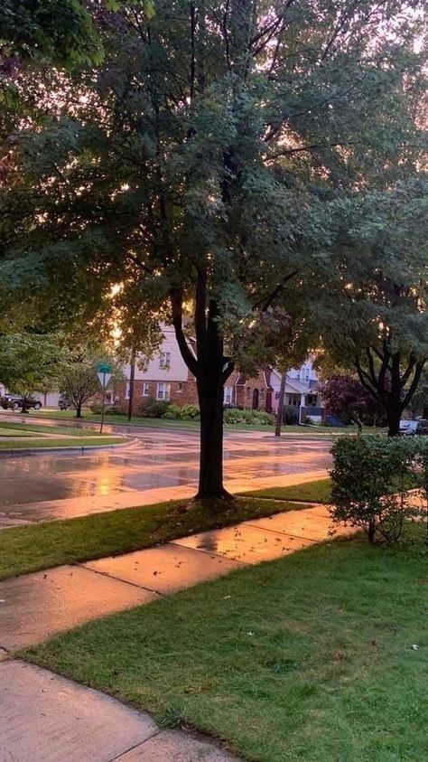 Rainy Suburbs Aesthetic, Rainy Neighborhood Aesthetic, Summer Neighborhood Aesthetic, Rainy Neighborhood, Rich Neighborhood Aesthetic, Pics Of Outside, Aesthetic Neighborhood, Suburbs Aesthetic, Neighborhood Aesthetic