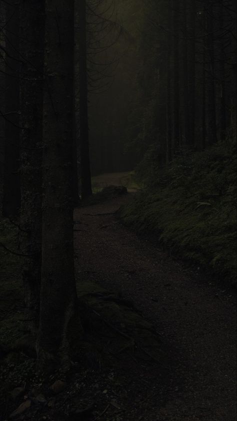 Woods At Night, Dark Naturalism, Dark Forest Aesthetic, Rainy Day Aesthetic, Dark Landscape, Dark Green Aesthetic, Dark Nature Aesthetic, Night Forest, Pretty Landscapes