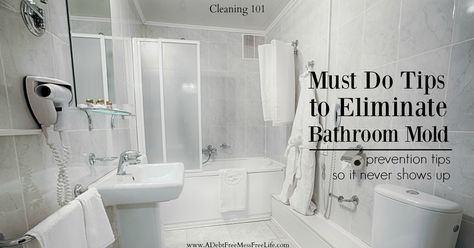 Is your bathroom full of shower mold? Want to get rid of it once and for all? These tips will eliminate the mold and prevent it from reappearing. Cleaning Bathroom Mold, Bathroom Mold, Shower Mold, Shower Cleaning Hacks, Mold Prevention, Remove Mold, Mold In Bathroom, Cleaning House, Bathroom Smells