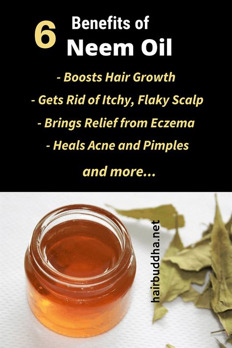 How to Use Neem Oil for Hair Growth, Dandruff and Eczema - hair buddha Neem Oil For Hair Growth, Hair Buddha, Neem Oil For Hair, Back Acne Remedies, Oils For Dandruff, Slow Hair Growth, Oil For Hair Growth, Make Up Tools, Hair Remedies For Growth