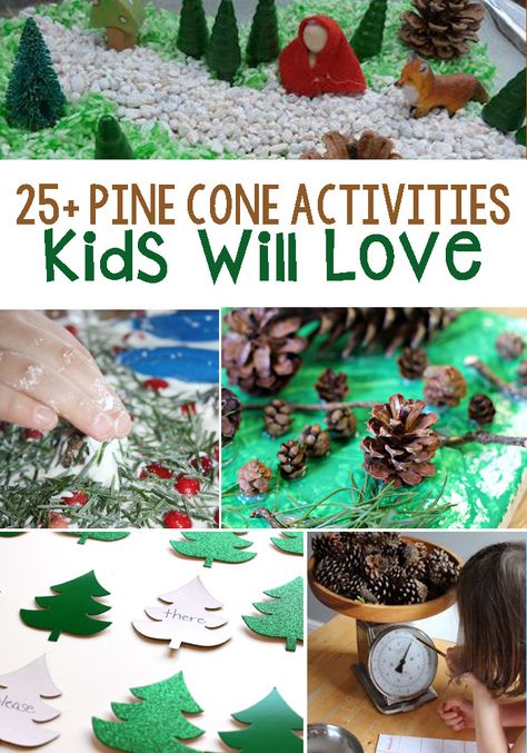 Pine Cone Activities: Evergreen tree and pine cone themed activities as well as activities to help children learn about pine cones! #pineconeactivities #preschoolwinter via @lifeovercs Pine Cone Activities, December Centers, Preschool November, Tree Unit, January Themes, December Preschool, Christmas Preschool, Montessori Lessons, Tree Theme