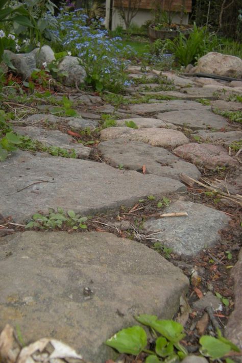 Very Natural Stone Pathway Entrance Pathway, Slate Walkway, Stone Pathways, Stepping Stone Walkways, Pathway Ideas, Circular Patio, Wood Walkway, Flagstone Walkway, Rental Property Management