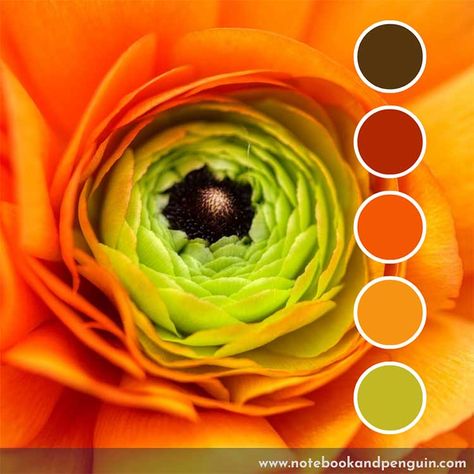 Orange, lime green and brown color palette Green And Brown Color Palette, Palette Organizer, Penguin Coloring, Color Palette Ideas, Orange Color Palettes, Palette Design, Brown Color Palette, Color Schemes Colour Palettes, Green Palette