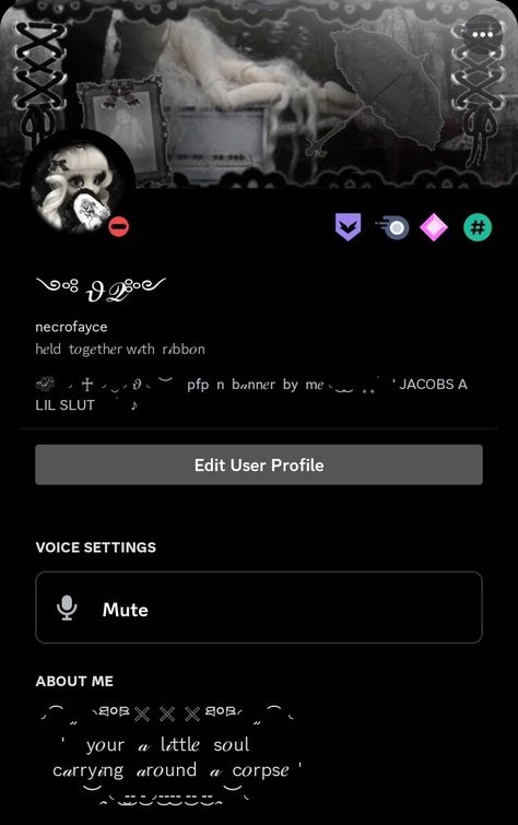 mi disc profile ,, dns . coms open ! dm on disc for info ♡ Discord Profile Ideas, Disc Profile, Cool Pfps For Discord, Cute Bios, Desktop Themes, Discord Profile, Profile Ideas, Phone Inspiration, Anime Figurines