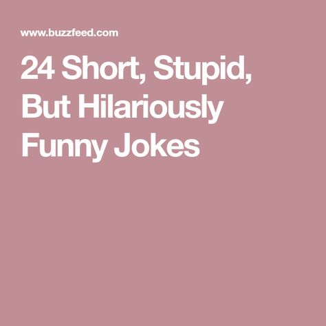 24 Short, Stupid, But Hilariously Funny Jokes Short Jokes Hilarious, One Line Jokes, Quick Funny Jokes, Best Dad Jokes, Funny Corny Jokes, Funny Riddles, Clean Funny Jokes, Funny Statements, Jokes Hilarious