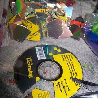 Bird Scarers How To Make, Bird Deterrent Ideas Diy, Bird Scarers Diy, Diy Bird Deterrent, Bird Deterrents, Mocking Birds, Cd Diy, Bird Repellents, Old Cd