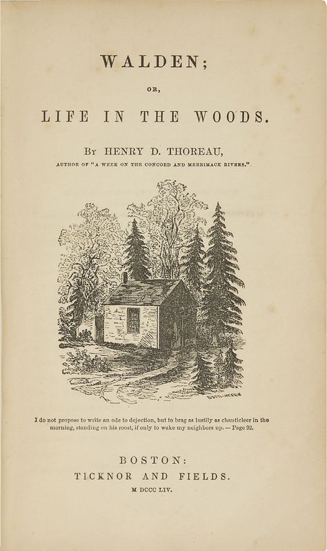 Walden Thoreau, Demian Hermann Hesse, Life In The Woods, Walden Pond, Civil Disobedience, Henry David Thoreau, Virginia Woolf, Old Book, Free Kindle Books