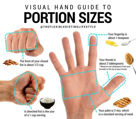 Visual Hand Guide to Portion Sizes | by Zach Rocheleau | Medium Portion Size Guide, Hand Guide, Weight Watchers Tips, Digital Food Scale, Best Smoothie, Portion Sizes, Food Scale, 21 Day Fix, Nutrition Tips