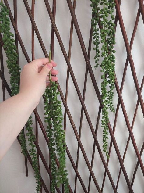 Bamboo Wall Decor, Bamboo Lattice, Vining Plants, Wall Hanging Decorations, Bamboo Diy, Chic Hat, Lattice Wall, Indoor Plant Wall, Lattice Trellis