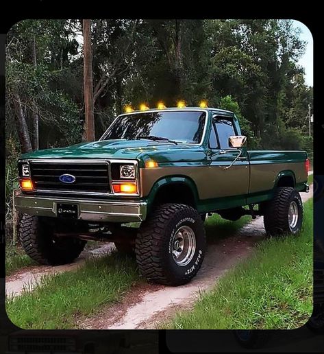 Bullnose Ford Truck, Old Ford Square Body Trucks, Old Pickup Trucks For Sale, Pick Up Trucks 4x4, 1988 Ford F250, 80s Ford Trucks, Ford Square Body Trucks, 1996 Ford F250 Diesel, Bullnose F150