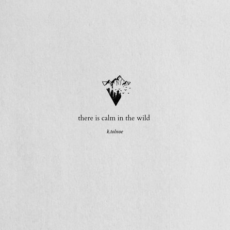 Wild Soul Quotes, Into The Wild Aesthetic, Mountain Aesthetic Quotes, Birding Quotes, Birds Quotes, Muse Quotes, Mountains Quotes, Wild Quotes, Fearless Quotes