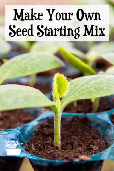 Seed Starting Soil Recipe, Diy Seed Starting Soil, Seed Starting Mix Recipe, Seed Starting Indoors Set Up, Diy Seed Starting Tray, Seed Starting Indoors Diy, Seed Starting Indoors, Garden Soil Mix, Growing Plants From Seeds