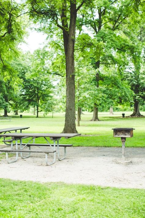 Yes, It's Safe to Use a Public Grill. Here's How to Do It. | Kitchn Best Shade Trees, Park Grill, Foraging Recipes, Beautiful Parks, Lunch Appetizers, Picnic Bench, Grilling Tips, Picnic Tables, The Picnic