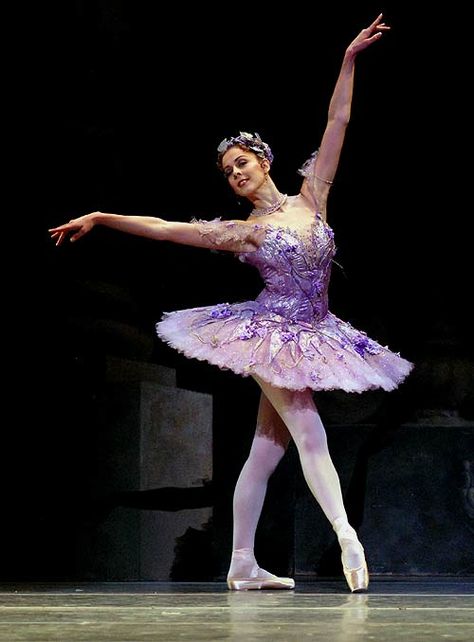 Laura McCulloch, Royal Ballet soloist, as the Lilac Fairy in Sleeping Beauty  © John Ross Fairy Vibe, Marianela Nunez, Lilac Fairy, Sleeping Beauty Ballet, Ballet Images, Ballerina Project, Opera Ballet, Ballet Pictures, Vibe Art