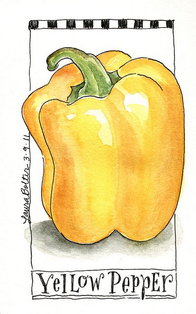 Sketchbook Watercolor, Journal Style, Watercolor Food, Watercolor Fruit, Watercolor Journal, Yellow Pepper, Watercolor Sketchbook, 수채화 그림, Watercolor Ideas