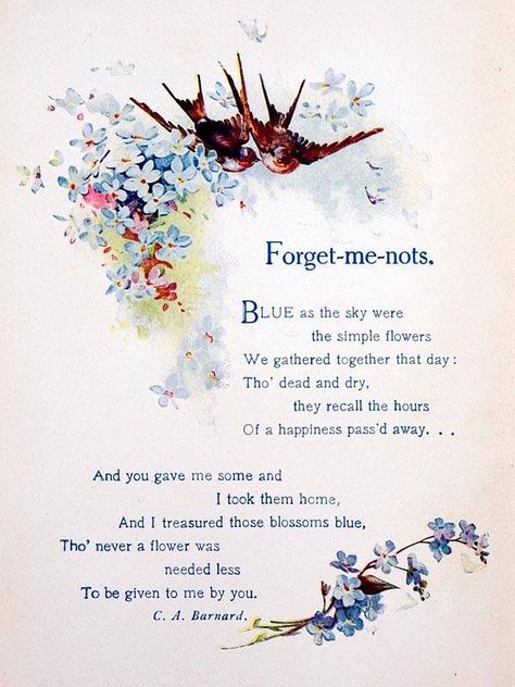 Forget Me Nots and you... Alzheimer's Awareness, Falling In Love Quotes, Flower Meanings, Nothing But Flowers, Language Of Flowers, Flower Quotes, Simple Flowers, Wonderful Words, Forget Me Not