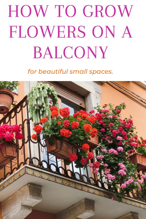 Balcony Climbing Plants, Flower Balcony Ideas, Balcon Flowers Ideas, Apartment Flowers Balcony, Small Balcony Flower Ideas, Balcony Rose Garden, Small Balcony Flowers, Apartment Flower Garden, Balcony Flowers Apartment