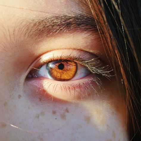 Pinterest: @ashlynxx127 Brown Eyes Aesthetic Wallpaper, Eyes Aesthetic Wallpaper, Brown Eyes Aesthetic, Eyes Aesthetic, Brown Eyes, Aesthetic Wallpaper, Close Up, Orange, Makeup