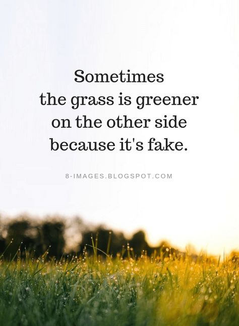 Quotes Sometimes the grass is greener on the other side because it's fake. Fake Concern Quotes, Grass Is Greener Quotes, Catfish Quotes, Grass Quotes, Fake Relationship Quotes, Authenticity Quotes, Fake Quotes, The Grass Is Greener, Grass Is Greener