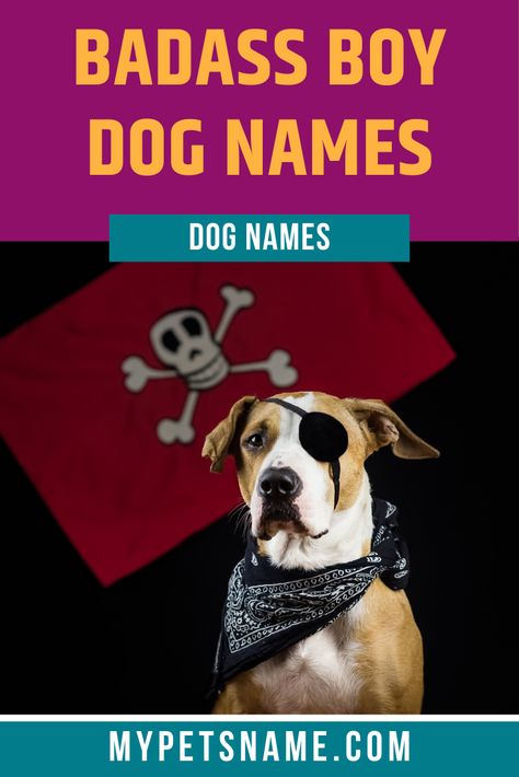 The most badass boy dog names are monikers which have a cool meaning behind them! If your pooch is always chilled out, then a cool name is the right kind of title for him. Our favorite moniker is ‘Dzuma’, meaning ‘King of God’, which is yours!  #boydognames #badassboydognames #dognames Strong Dog Names Male, Unique Dog Names Boy, Male Puppy Names, Cool Dog Names Boys, Male Dog Names Unique, Strong Dog Names, Tough Dog Names, Boxer Dog Names