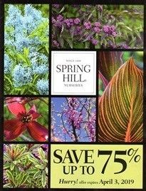 Spring Hill Nurseries Catalog Perennial Sunflower, Coral Charm Peony, Spring Hill Nursery, Garden Catalogs, Catalog Request, How To Attract Birds, Garden Yard Ideas, Spring Hill, Climbing Roses