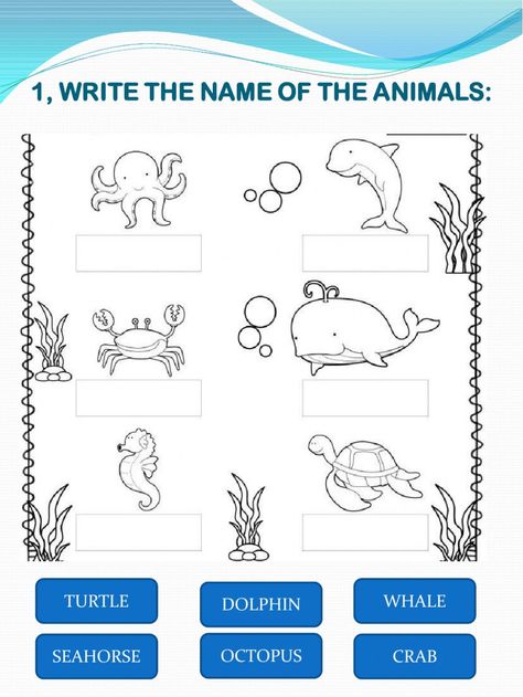 Land Animals Worksheet, Animals Worksheet, Land Animals, Animal Worksheets, English As A Second Language (esl), Sea Animal, English As A Second Language, Online Activities, Sea Animals