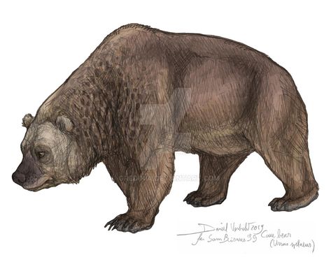 Cave Bear, Alien Creatures, Vintage Drawing, Prehistoric Animals, Art Antique, Brown Bear, Egypt, Bears, Deviantart