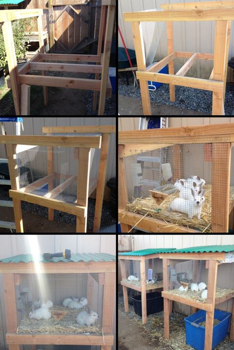 As the baby rabbits grow bigger, new cages must be built. Like any first time project, there is always trial and error. Since our first litter, we have made a few changes to our design that i believe will help make our second go around much smoother and efficient. Rabbit Breeding Cage Setup, Rabbit Grow Out Cage, 2 Story Rabbit Cage, Simple Rabbit Cage, Rabbit Coop Ideas, Simple Rabbit Hutch, Bunny Hutches Outdoor, Rabbit Cages Outdoor, Rabbit Hutch Plans