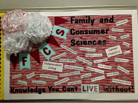 Family and Consumer Science Bulletin Board Science Classroom Ideas, Family Consumer Science, Science Bulletin Board, Hallway Bulletin Boards, High School Bulletin Boards, Science Bulletin Boards, Science Classroom Decorations, Family And Consumer Science, Science Journal