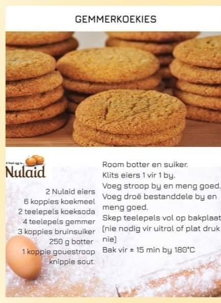 Gemmer Koekies, Oat Biscuit Recipe, Tea Scones Recipe, 100 Cookies Recipe, Best Tiramisu Recipe, Lekker Resepte, Ginger Snap Cookies Recipe, Best Biscuit Recipe, Butter Cookie Recipe Easy