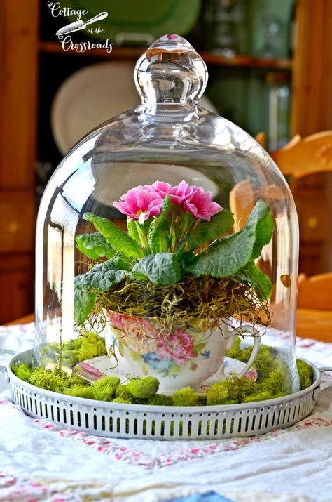 Spring Flower Arrangements Centerpieces, Cloche Decor, Diy Frühling, Teacup Gardens, Spring Flower Arrangements, Spring Centerpiece, Tea Diy, Spring Tablescapes, Glass Cloche