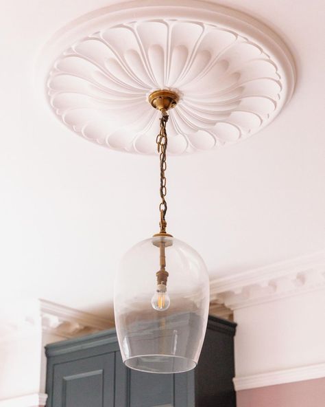 House of Hamiltons | Ornate ceiling rose paired with an understated brass pendant. Ceiling rose - @plasterceilingroses Light - @pookylights #interiorstyle… | Instagram Ceiling Rose Lighting, Ornate Ceiling, Plaster Ceiling Rose, Plaster Coving, Rose Molds, 1930's Style, Blue Ceilings, Plaster Ceiling, Floor Colors