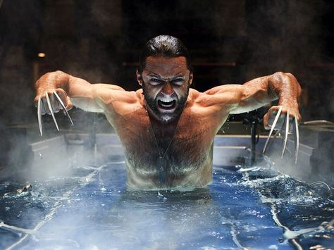 Image detail for -Hugh Jackman Wallpaper 6-1024 Berserker Rage, Wolverine 2009, Wolverine Movie, Celebrity Bodies, The Wolverine, Wolverine Hugh Jackman, Celebrity Workout, Fountain Of Youth, Man Movies