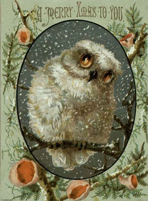 Weird Christmas, Victorian Christmas Cards, Images Noêl Vintages, Felt Owls, Vintage Christmas Images, Christmas Owls, Vintage Owl, Victorian Christmas, Owl Art