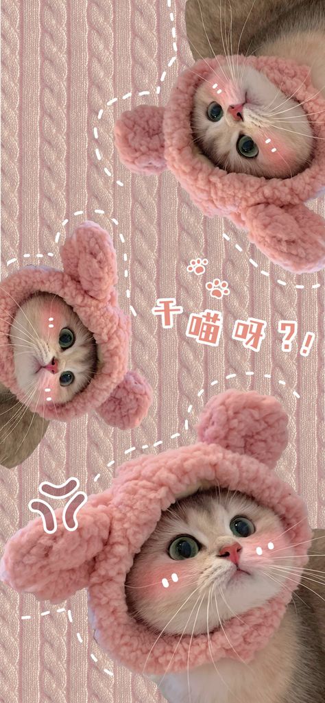 Drawing Jungle, Aesthetic Jungle, Wallpaper Cantik Iphone, Tree Jungle, Iphone Wallpaper Cat, Wallpaper Hp, Pink Wallpaper Girly, Bow Wallpaper, Iphone Wallpaper Kawaii