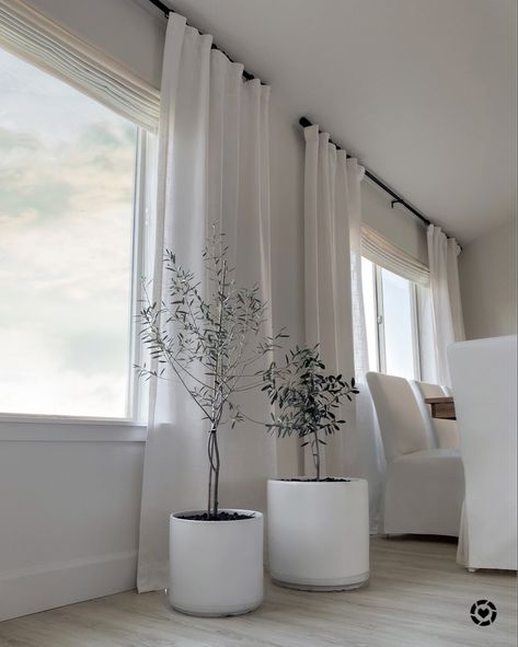 White faux linen look curtains, black rod. White ceramic pots olive tree . Wood dining table white slipcover chairs http://liketk.it/32Py0 #liketkit @liketoknow.it #LTKhome #LTKunder50 #LTKunder100 @liketoknow.it.home Shop your screenshot of this pic with the LIKEtoKNOW.it shopping app Black Curtain Pole White Curtains, White Curtain Black Rod, Black Rod Curtains, Curtains Lounge Room, White Curtains With Black Rod, Dining Room Blinds And Curtains, White Wood Blinds With Curtains, Black Curtain Rods With White Curtains, Rod Curtains Ideas Living Rooms